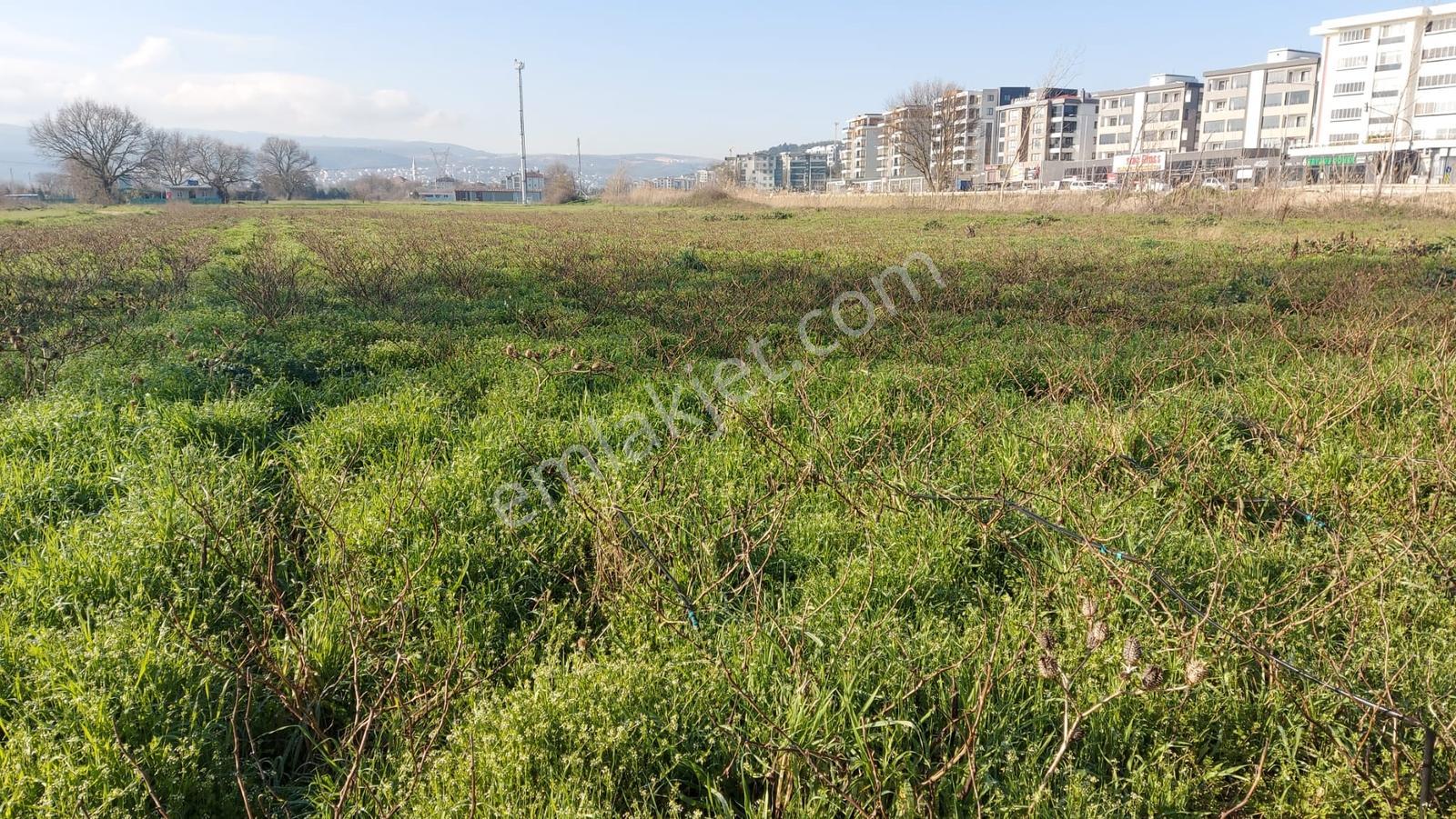 Kayapada Resmi Kadastro Yoluna Cephe 330m2 Kiralık Hobi Bahçesi - Görsel 31