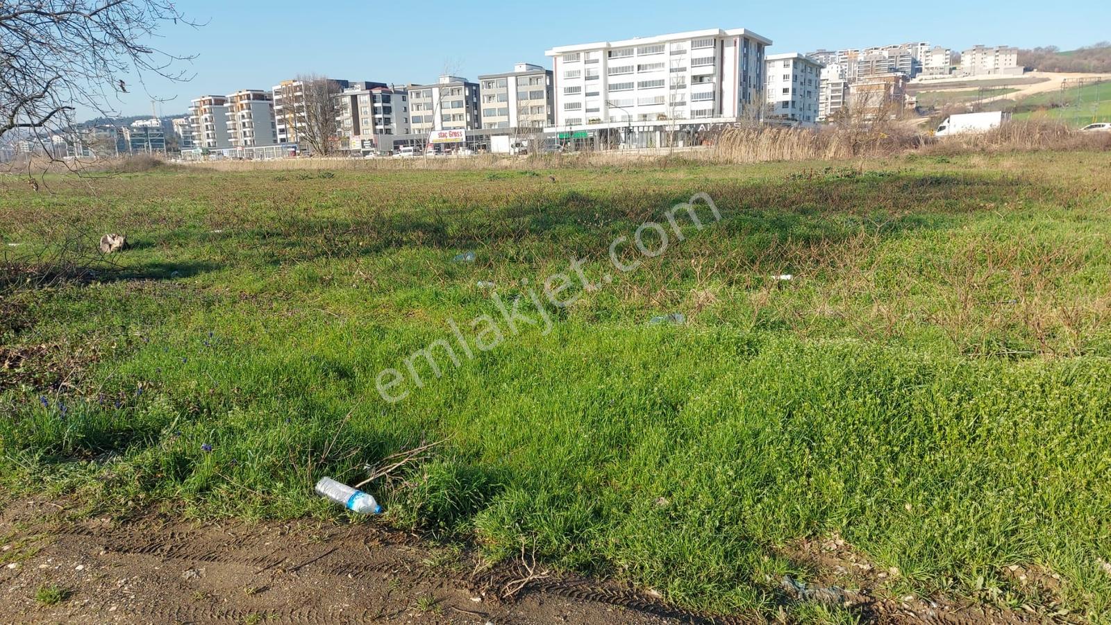 Kayapada Resmi Kadastro Yoluna Cephe 330m2 Kiralık Hobi Bahçesi - Görsel 17