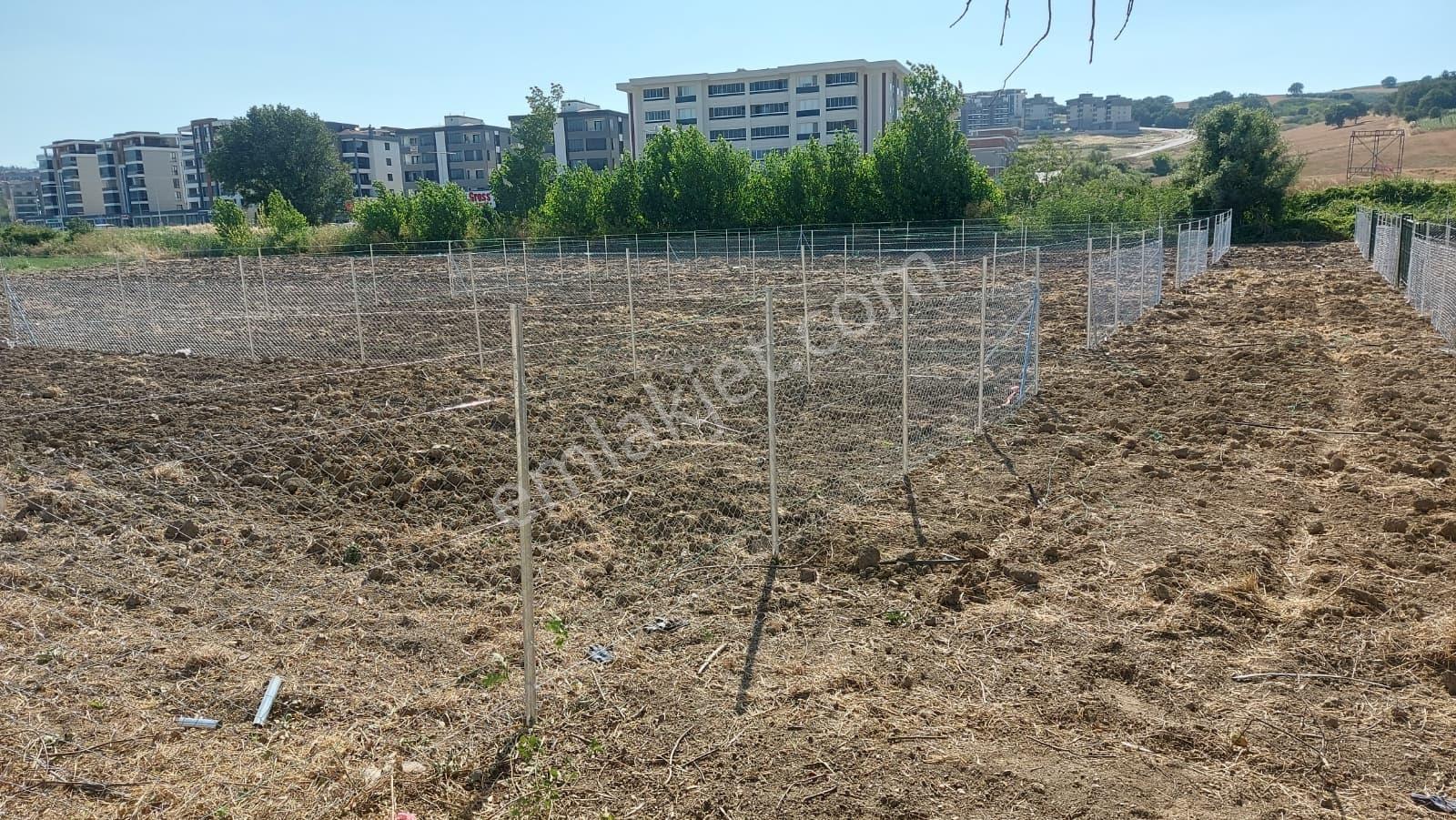Kayapada Resmi Kadastro Yoluna Cephe 330m2 Kiralık Hobi Bahçesi - Görsel 4