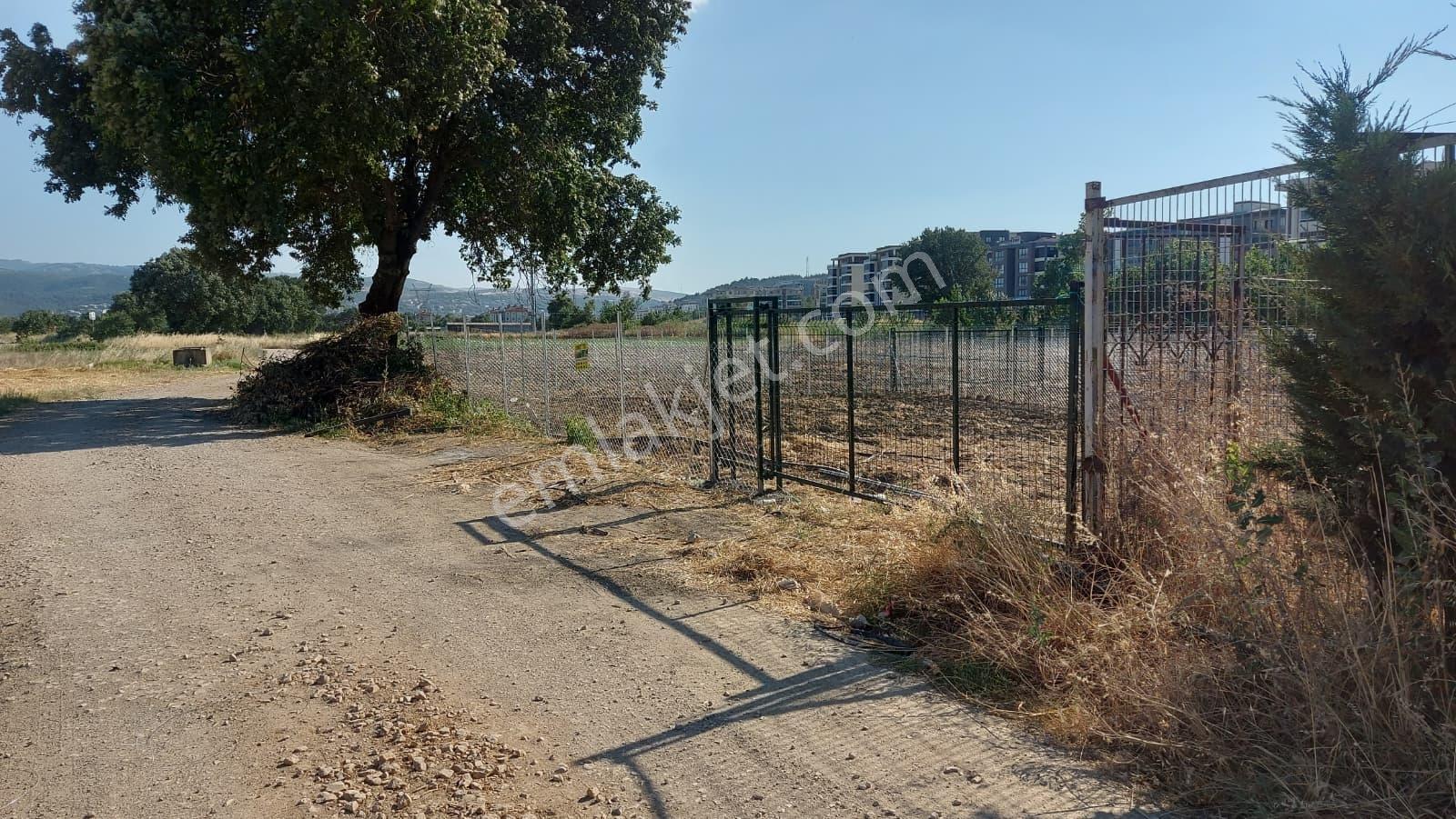 Kayapada Resmi Kadastro Yoluna Cephe 330m2 Kiralık Hobi Bahçesi - Görsel 14