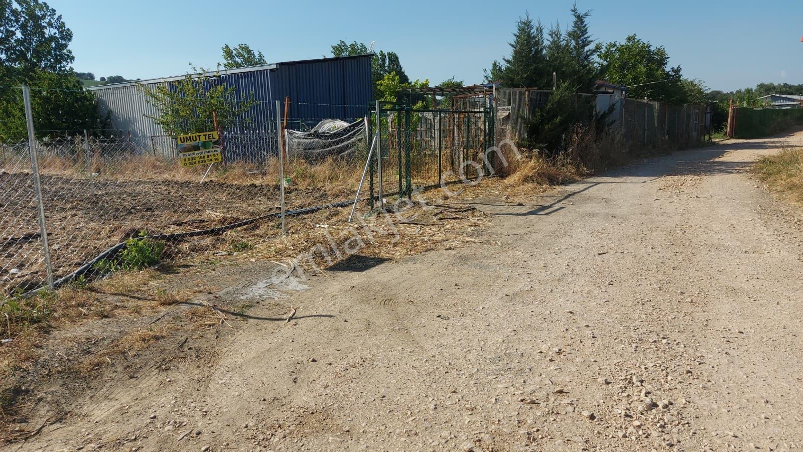 Kayapada Resmi Kadastro Yoluna Cephe 330m2 Kiralık Hobi Bahçesi - Görsel 11