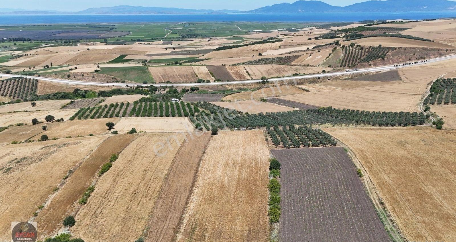 Gönen/gebeçınar'da Kadastral Yola Cephe 6.700 M² Tarla - Görsel 2