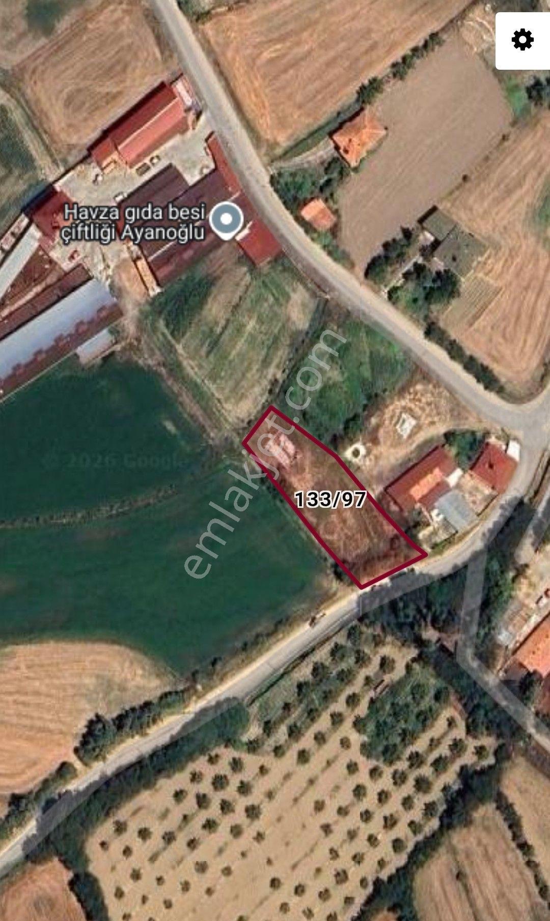 Satılık Bağ Bahçe Ve Arsası Suluova Kolay Köyü - Görsel 23