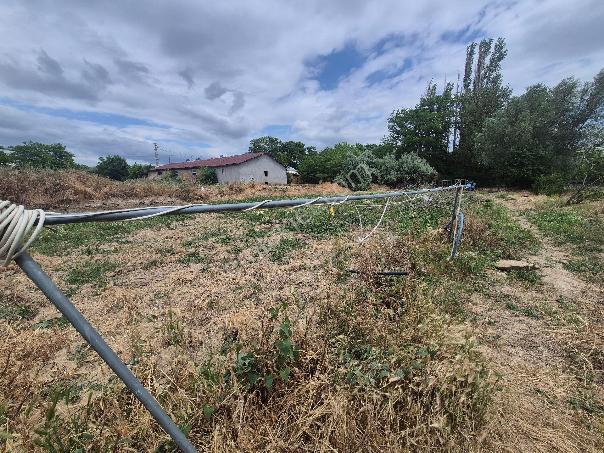 Satılık Bağ Bahçe Ve Arsası Suluova Kolay Köyü - Görsel 15