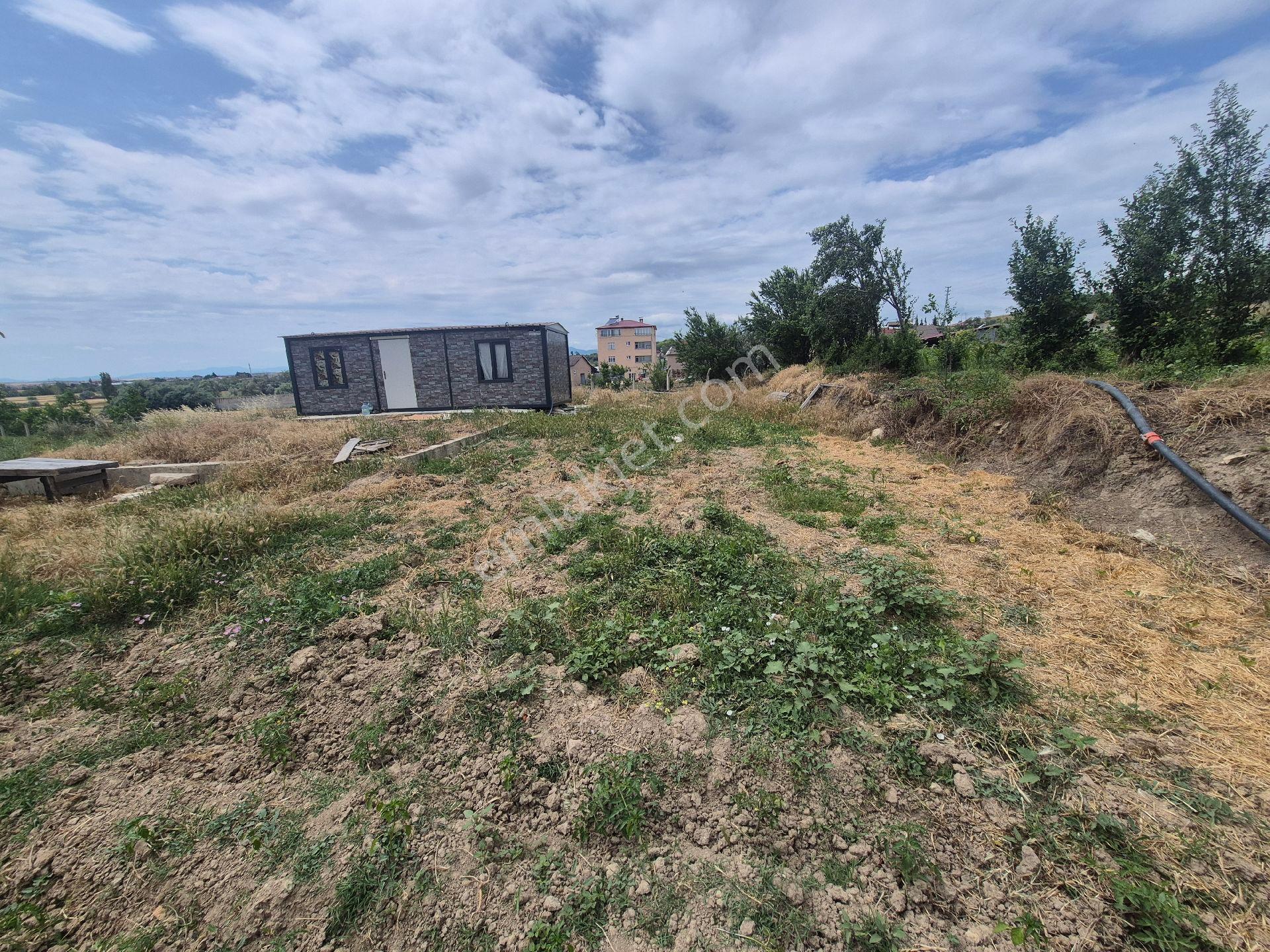 Satılık Bağ Bahçe Ve Arsası Suluova Kolay Köyü - Görsel 8