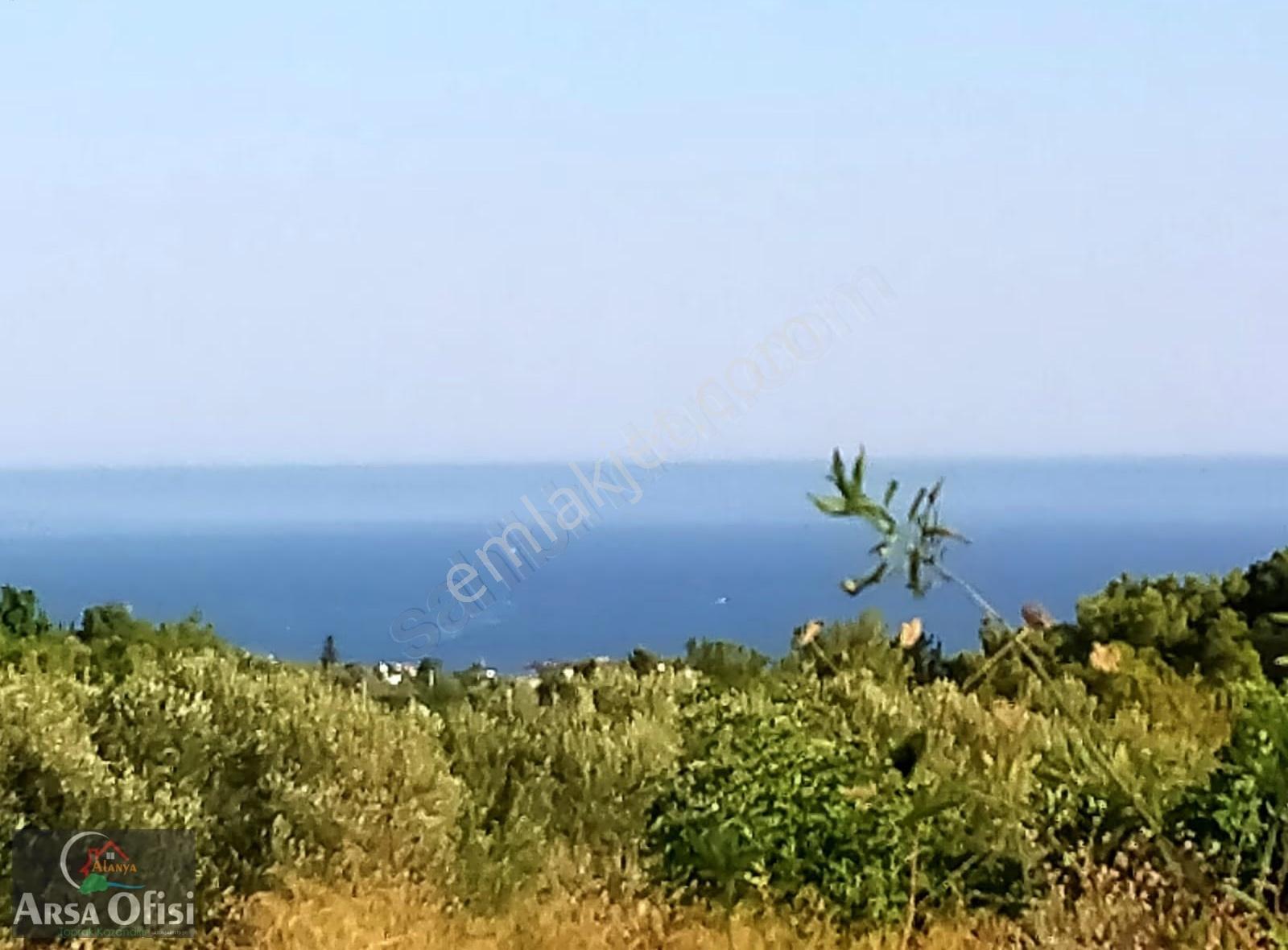 Alanya İncekum Da Satılık Deniz Manzaralı İmarlı Arsalar