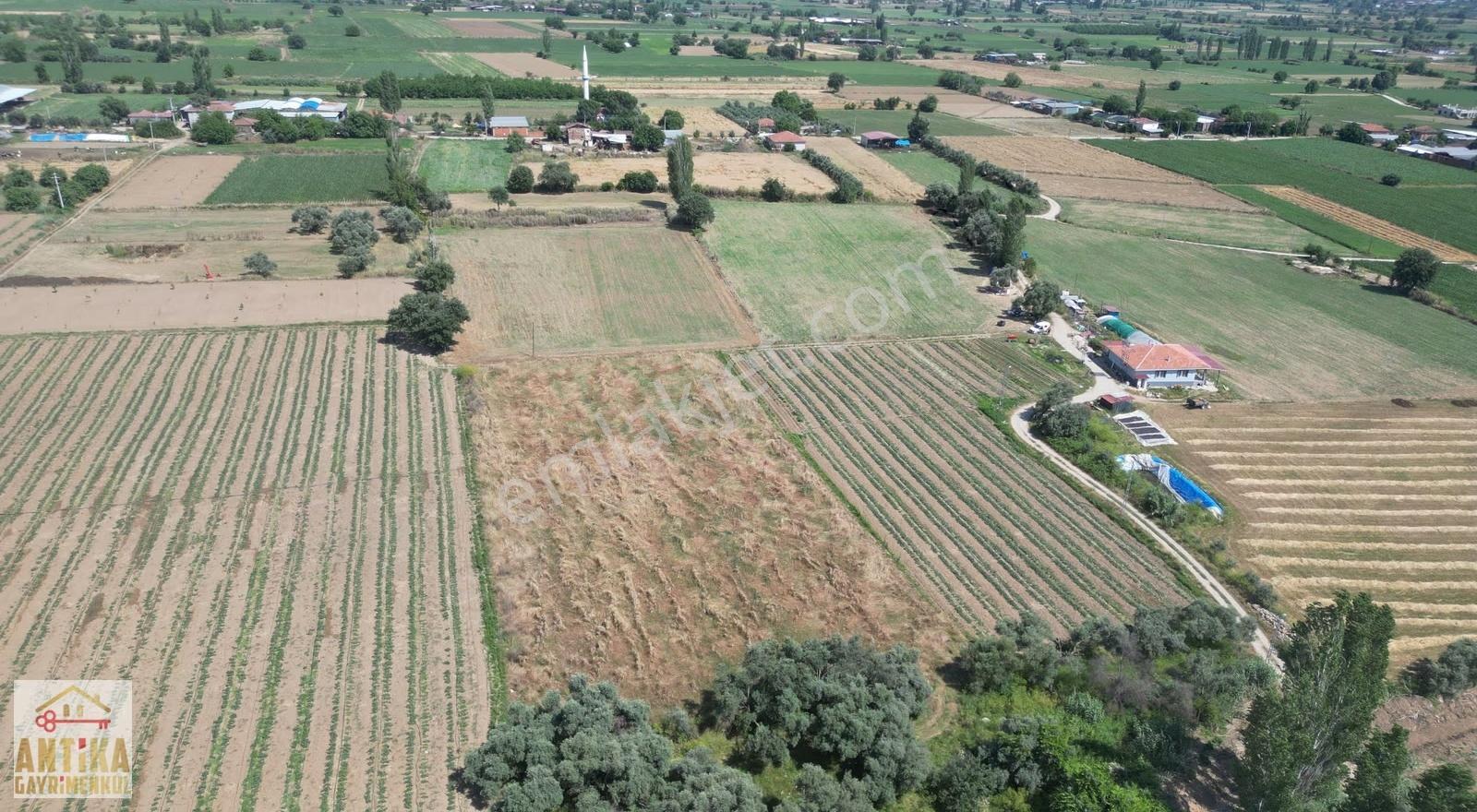 Antika Gayrimenkulden Kiraz Merkeze 6 Km Yakınında Satılık Tarla - Görsel 2