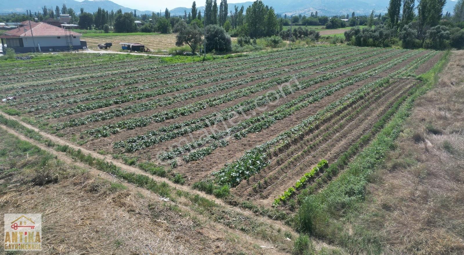 Antika Gayrimenkulden Kiraz Merkeze 6 Km Yakınında Satılık Tarla - Görsel 28
