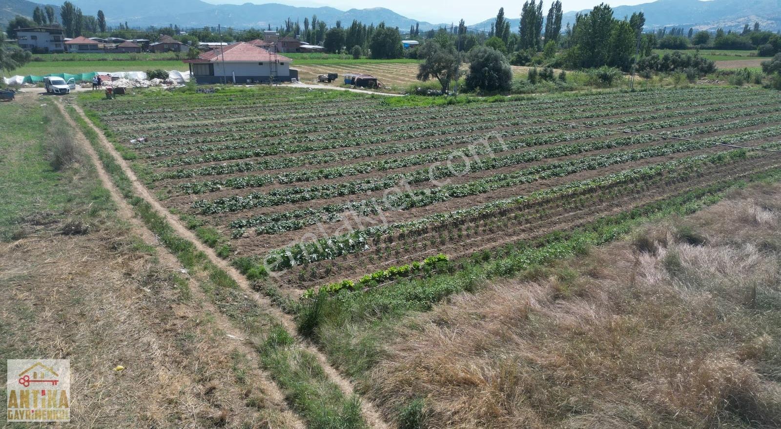 Antika Gayrimenkulden Kiraz Merkeze 6 Km Yakınında Satılık Tarla - Görsel 9