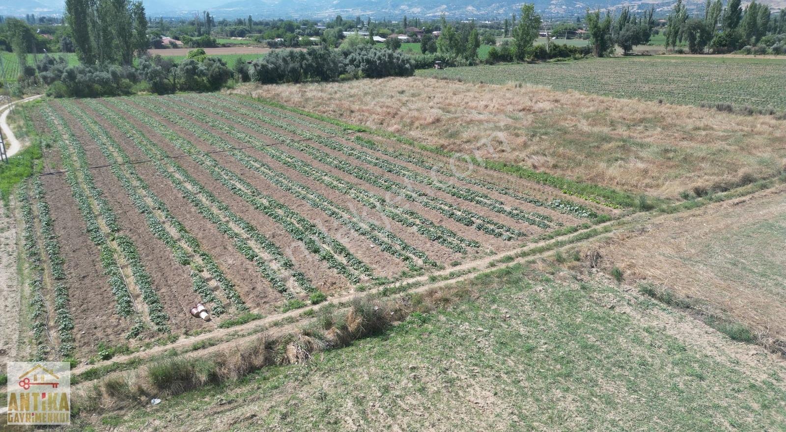 Antika Gayrimenkulden Kiraz Merkeze 6 Km Yakınında Satılık Tarla - Görsel 6
