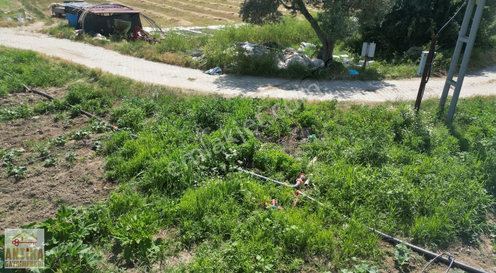 Antika Gayrimenkulden Kiraz Merkeze 6 Km Yakınında Satılık Tarla - Görsel 19