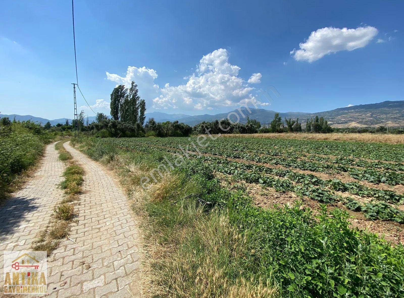 Antika Gayrimenkulden Kiraz Merkeze 6 Km Yakınında Satılık Tarla - Görsel 17