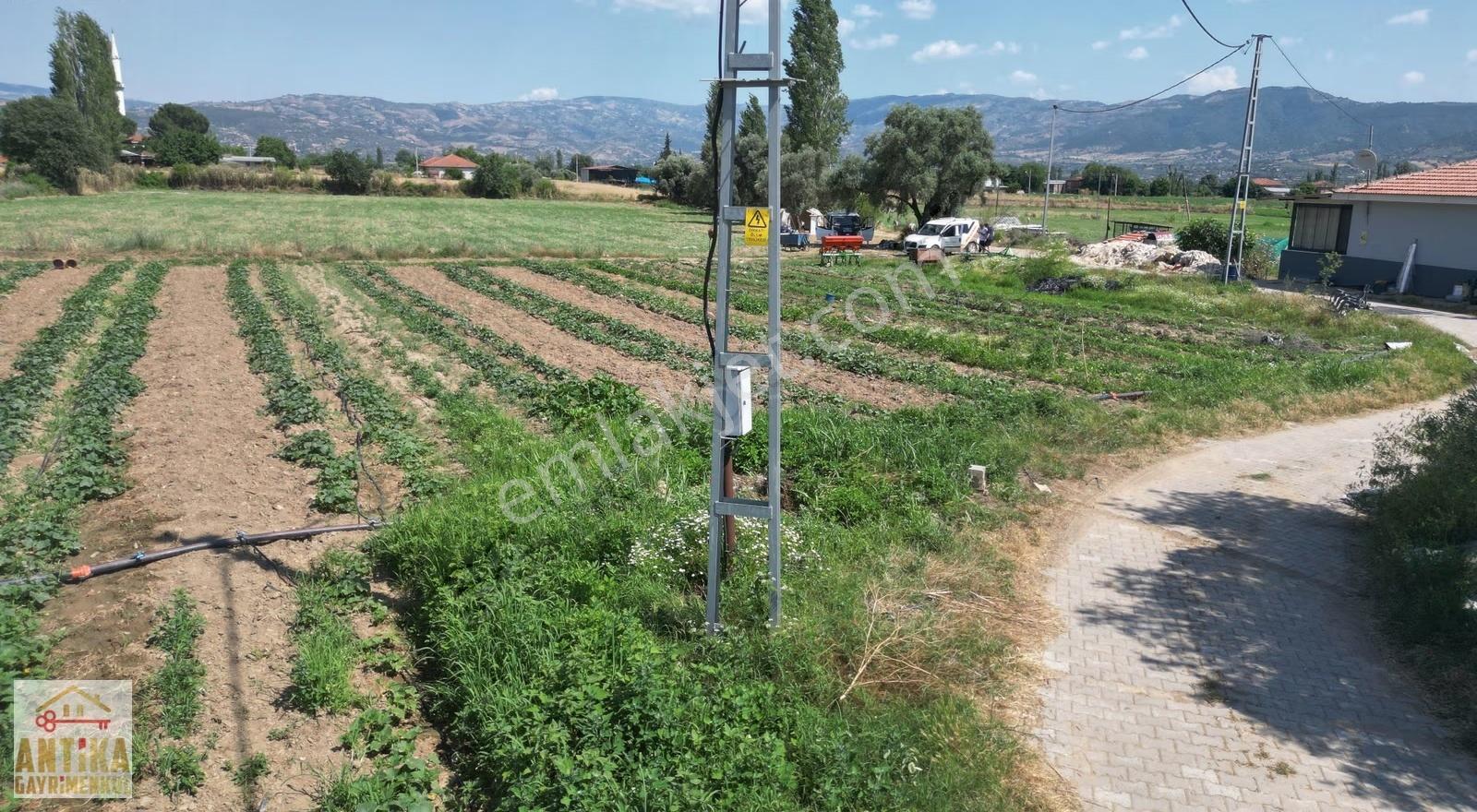 Antika Gayrimenkulden Kiraz Merkeze 6 Km Yakınında Satılık Tarla - Görsel 5