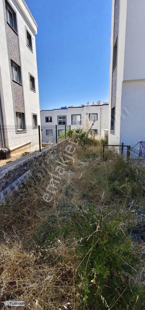Bodrum Mumcular Da Kiralık 3+1 Daire - Görsel 12