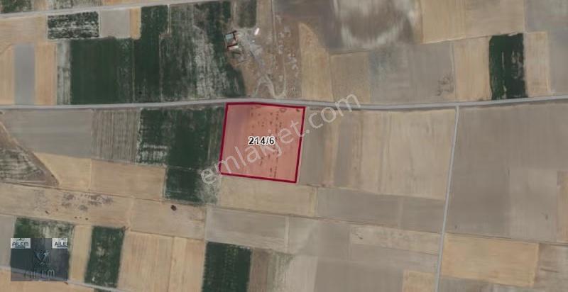 Bünyan Elbaşı Yol Dibinde Satılık 40.728 M² Tarla