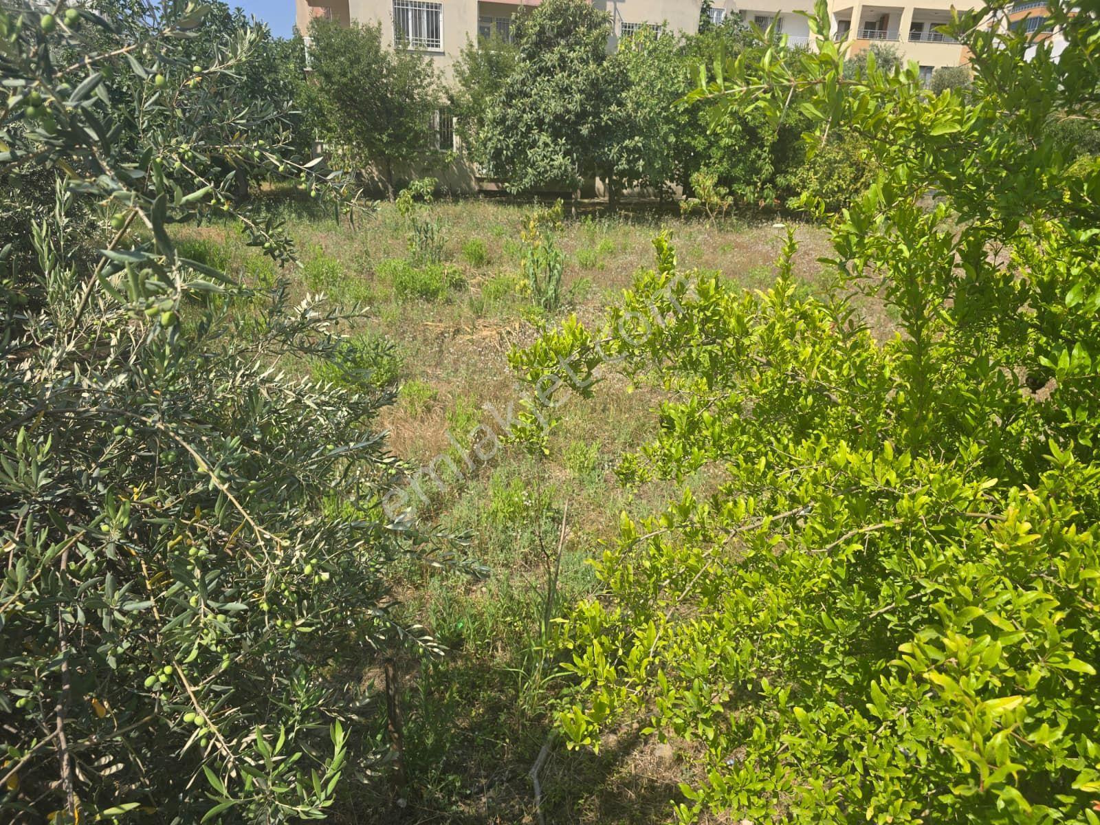 Mersin Anamur Satılık İmarlı Arsa - Görsel 13