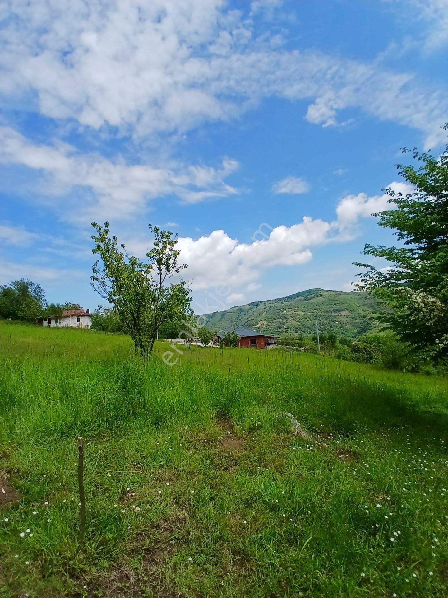 Furkan Emlak'tan Canik Üçpınar Mah.1100m2 Tek Tapu Tarla - Görsel 8