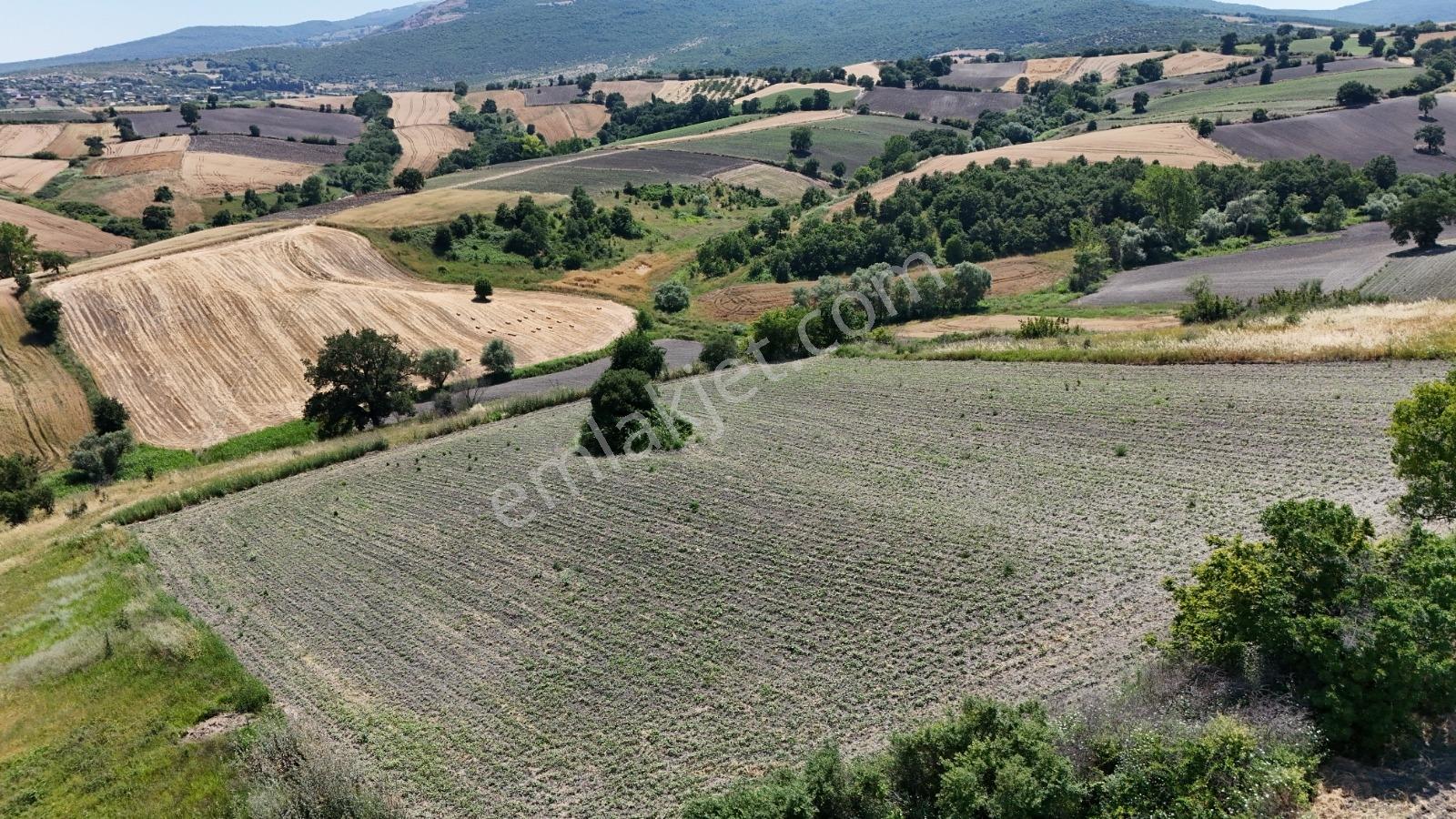 Balıkesir Susurluk Söve De Yatırımlık 35800 M² Tarla - Görsel 8
