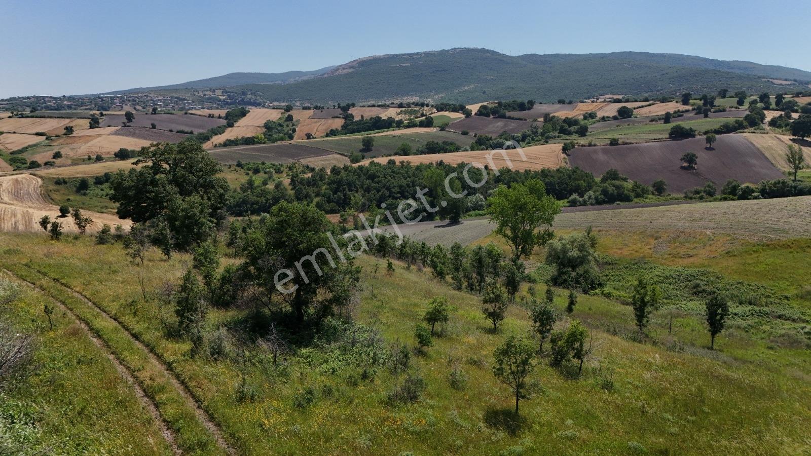Balıkesir Susurluk Söve De Yatırımlık 35800 M² Tarla - Görsel 6