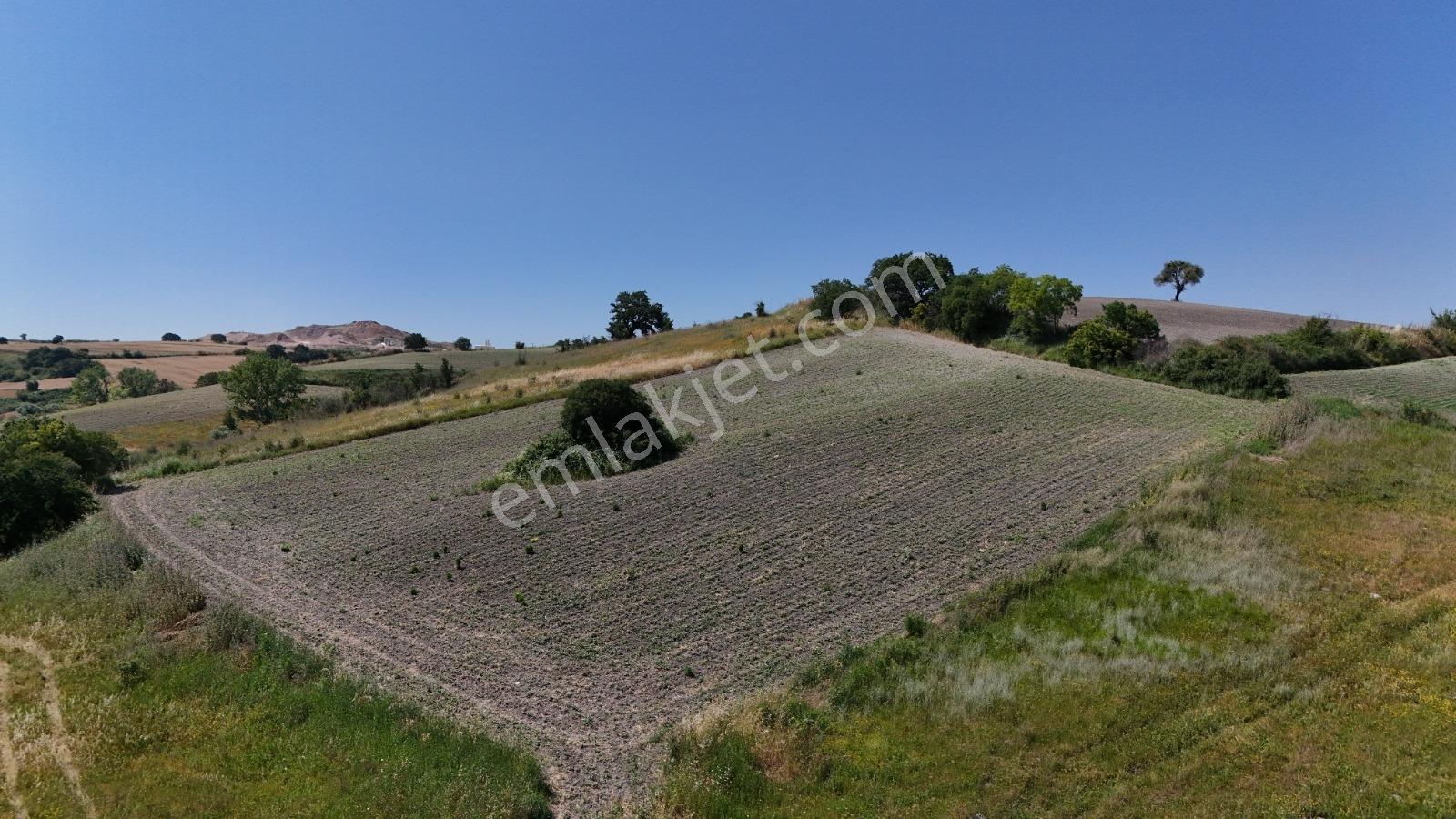 Balıkesir Susurluk Söve De Yatırımlık 35800 M² Tarla - Görsel 2