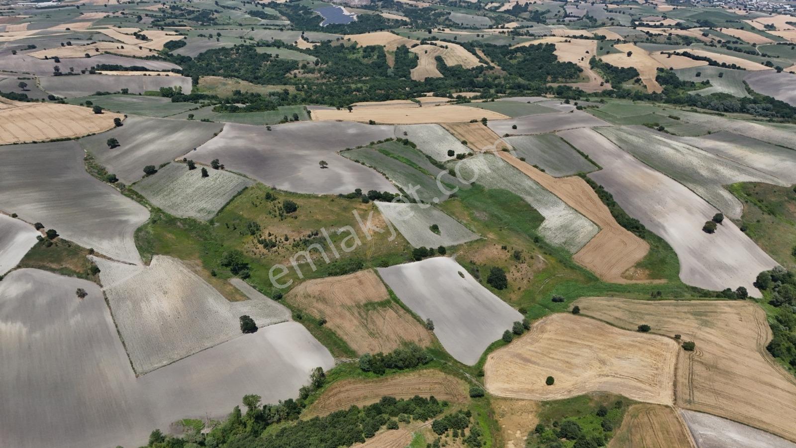 Balıkesir Susurluk Söve De Yatırımlık 35800 M² Tarla - Görsel 19