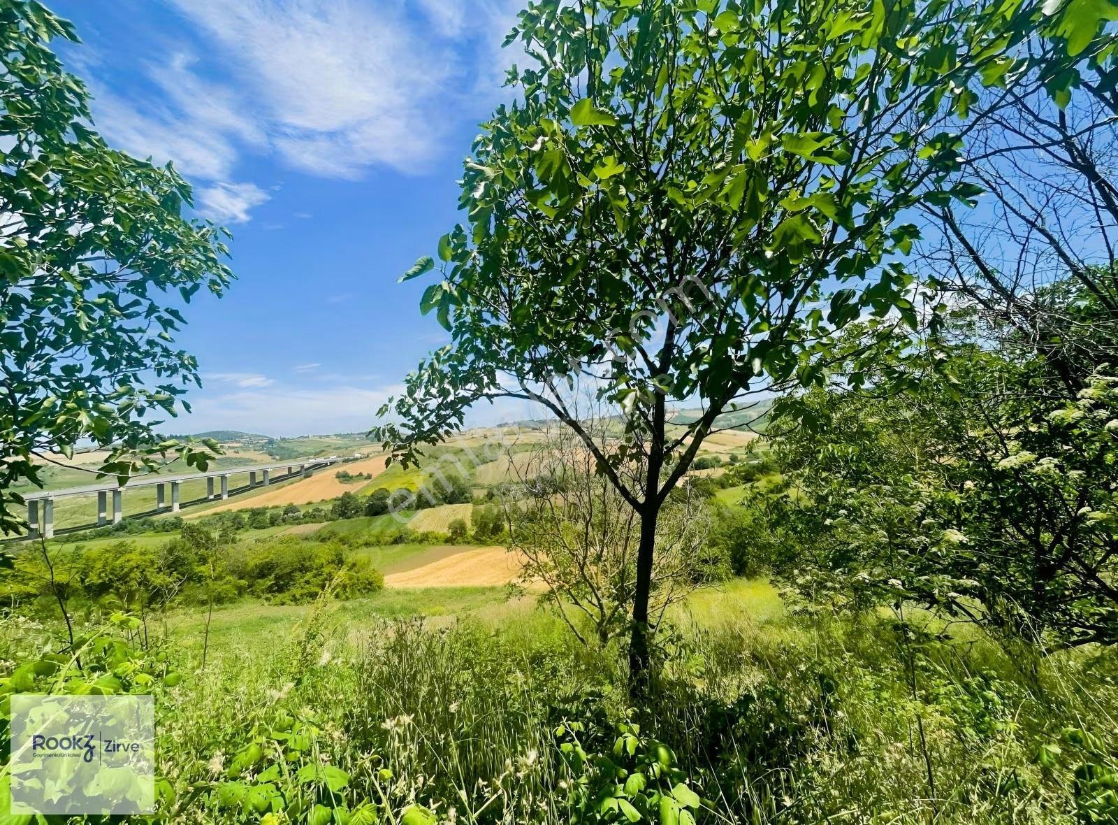 Yalova Kılıç'ta 1.666 M² Otoyola Ve Osb'ye Yakın Satılık Tarla - Görsel 7