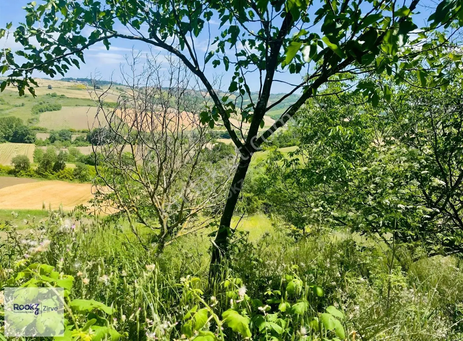 Yalova Kılıç'ta 1.666 M² Otoyola Ve Osb'ye Yakın Satılık Tarla - Görsel 3