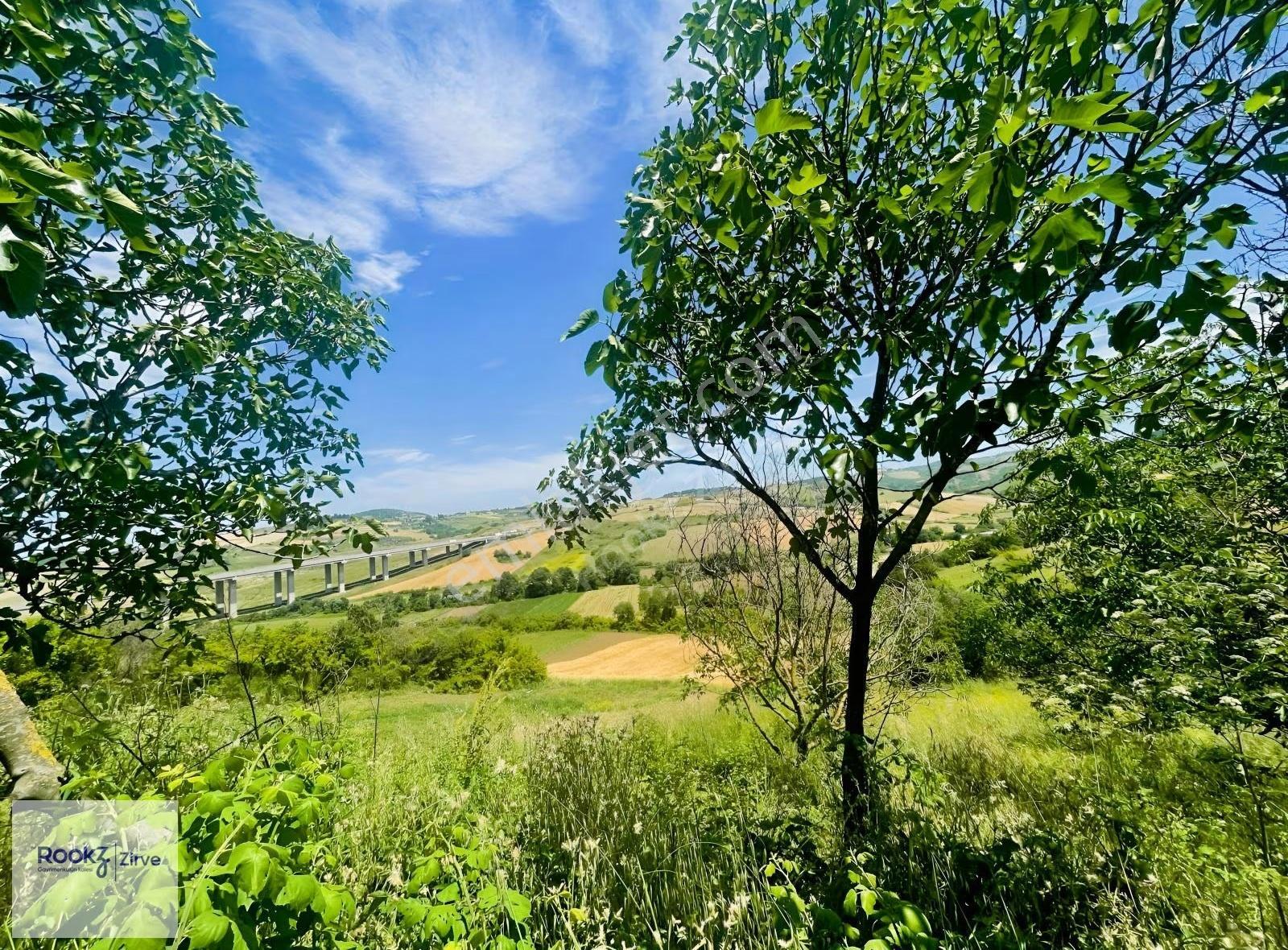 Yalova Kılıç'ta 1.666 M² Otoyola Ve Osb'ye Yakın Satılık Tarla - Görsel 8