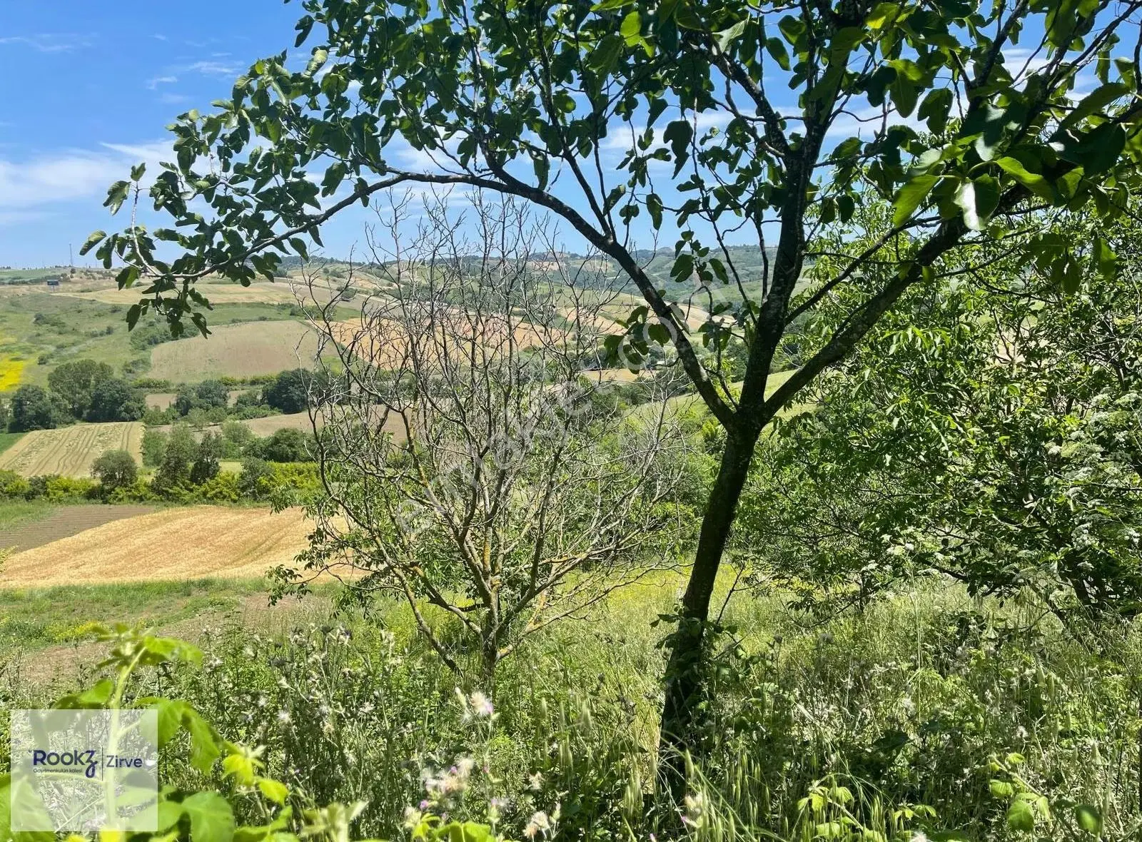 Yalova Kılıç'ta 1.666 M² Otoyola Ve Osb'ye Yakın Satılık Tarla - Görsel 4