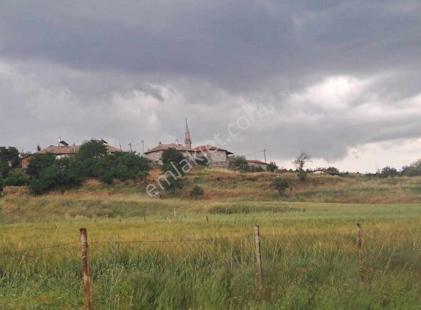 Konya Seydişehir Usanmaz Emlak Tan Muradiye Muradiy Satılık Arsa