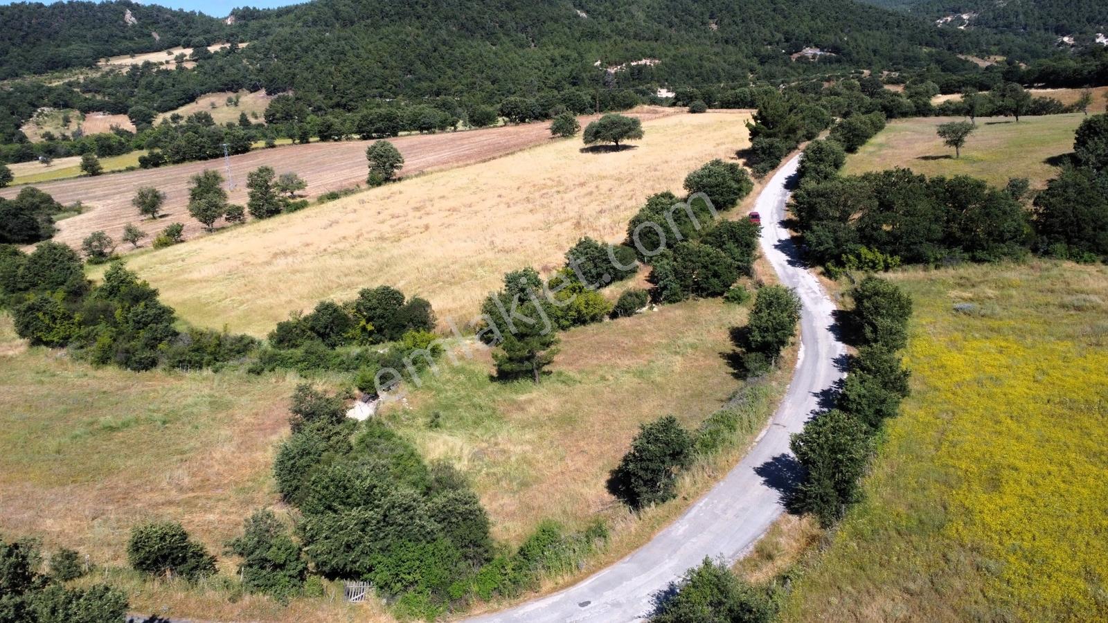 Çanakkale Bayramiç Aşağışapçı Köyün'nde Yatırımlık Tarla - Görsel 6