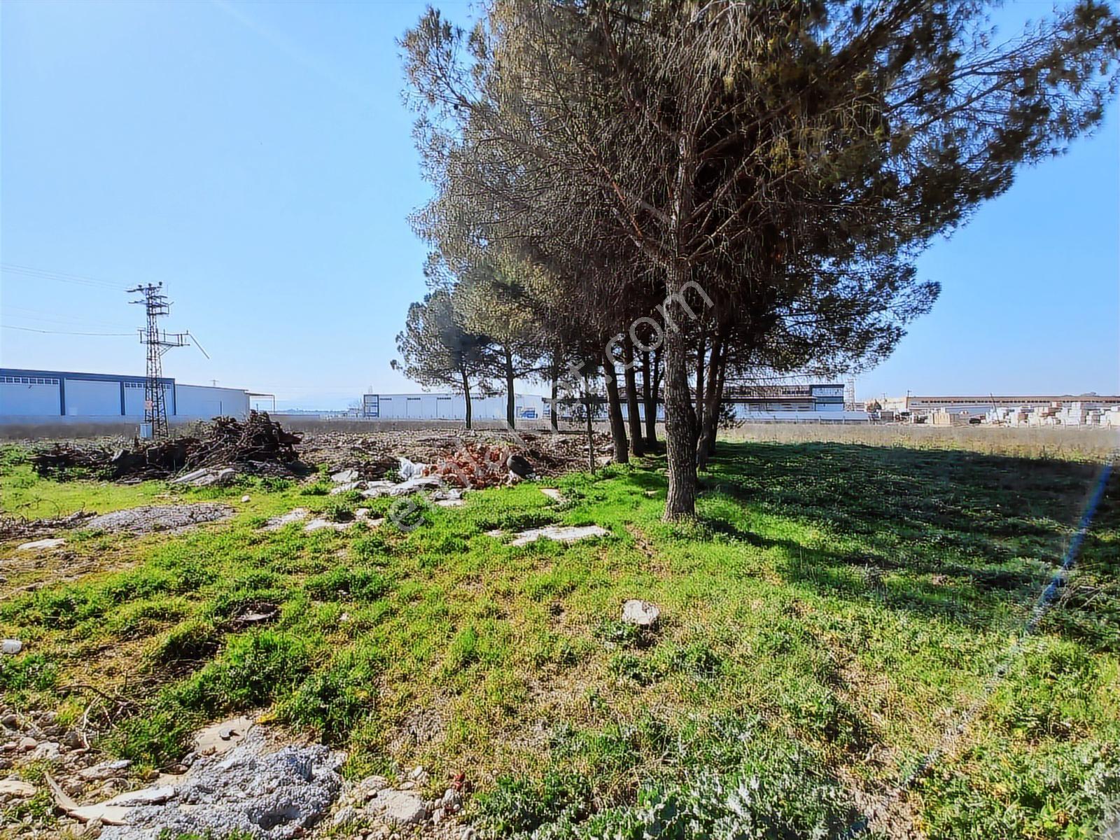 Turpa Lotus'tan Pancar'da Depo İmarlı 11.800 M2 Satılık Arsa - Görsel 18