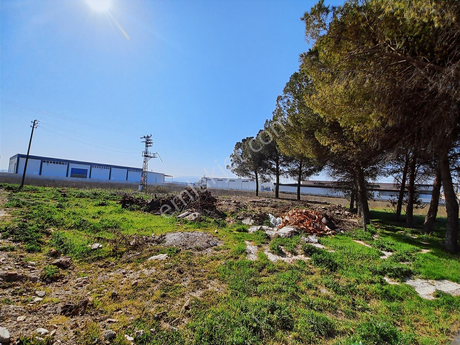 Turpa Lotus'tan Pancar'da Depo İmarlı 11.800 M2 Satılık Arsa - Görsel 5