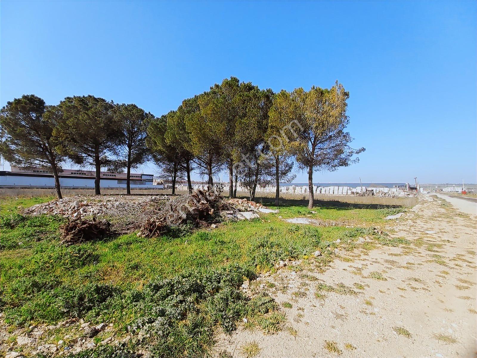 Turpa Lotus'tan Pancar'da Depo İmarlı 11.800 M2 Satılık Arsa - Görsel 3