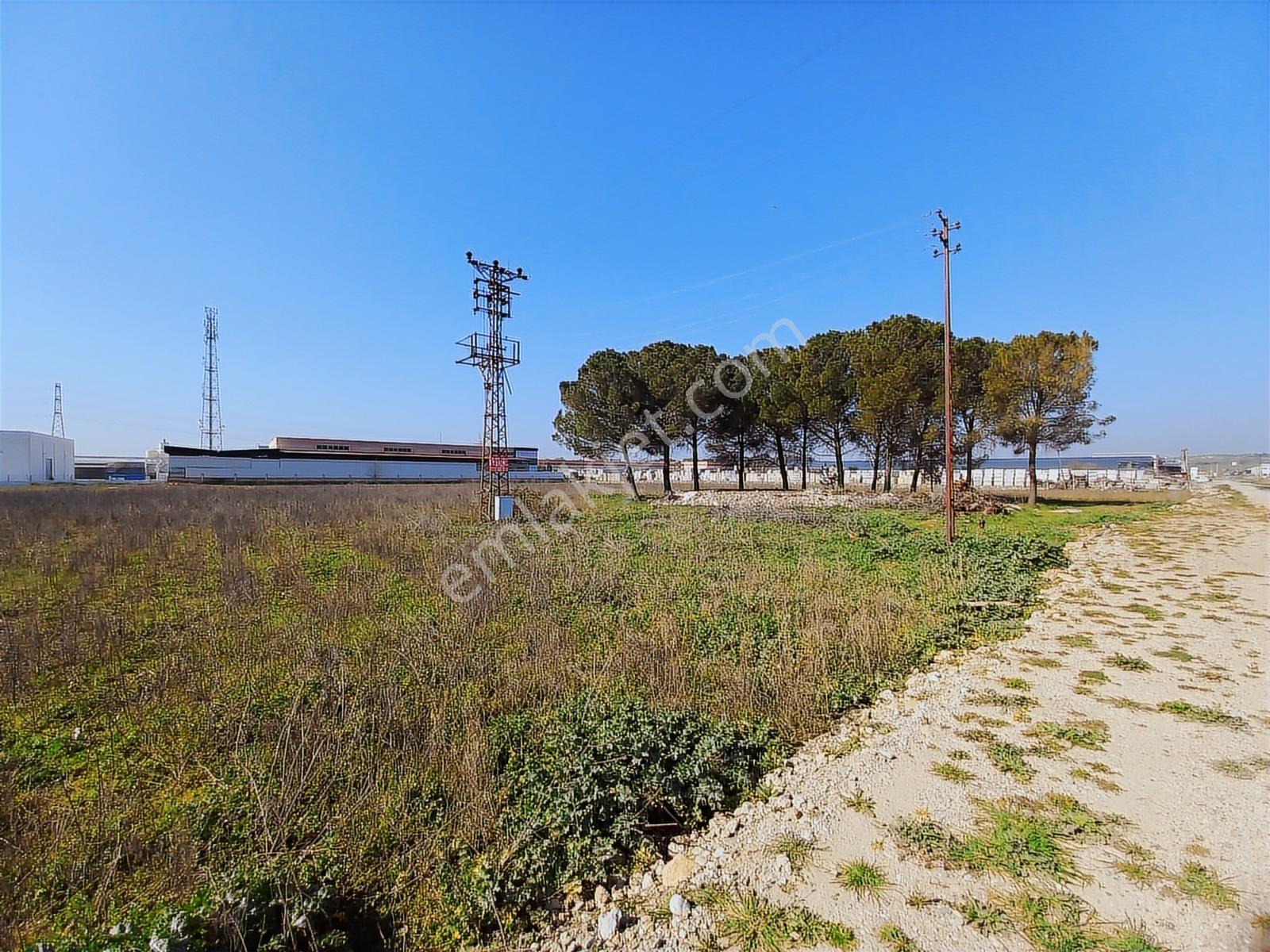 Turpa Lotus'tan Pancar'da Depo İmarlı 11.800 M2 Satılık Arsa - Görsel 2