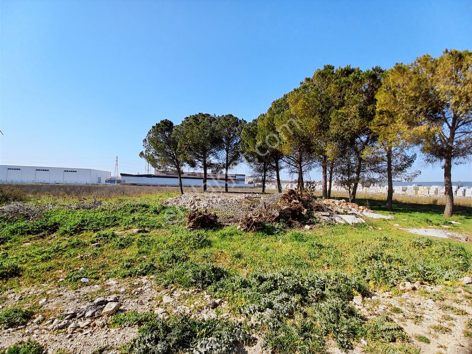 Turpa Lotus'tan Pancar'da Depo İmarlı 11.800 M2 Satılık Arsa - Görsel 14