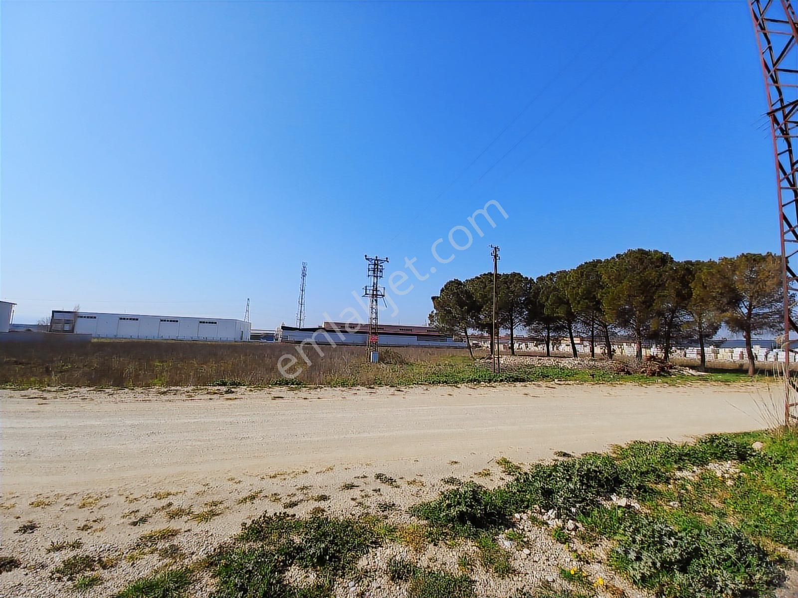 Turpa Lotus'tan Pancar'da Depo İmarlı 11.800 M2 Satılık Arsa - Görsel 13