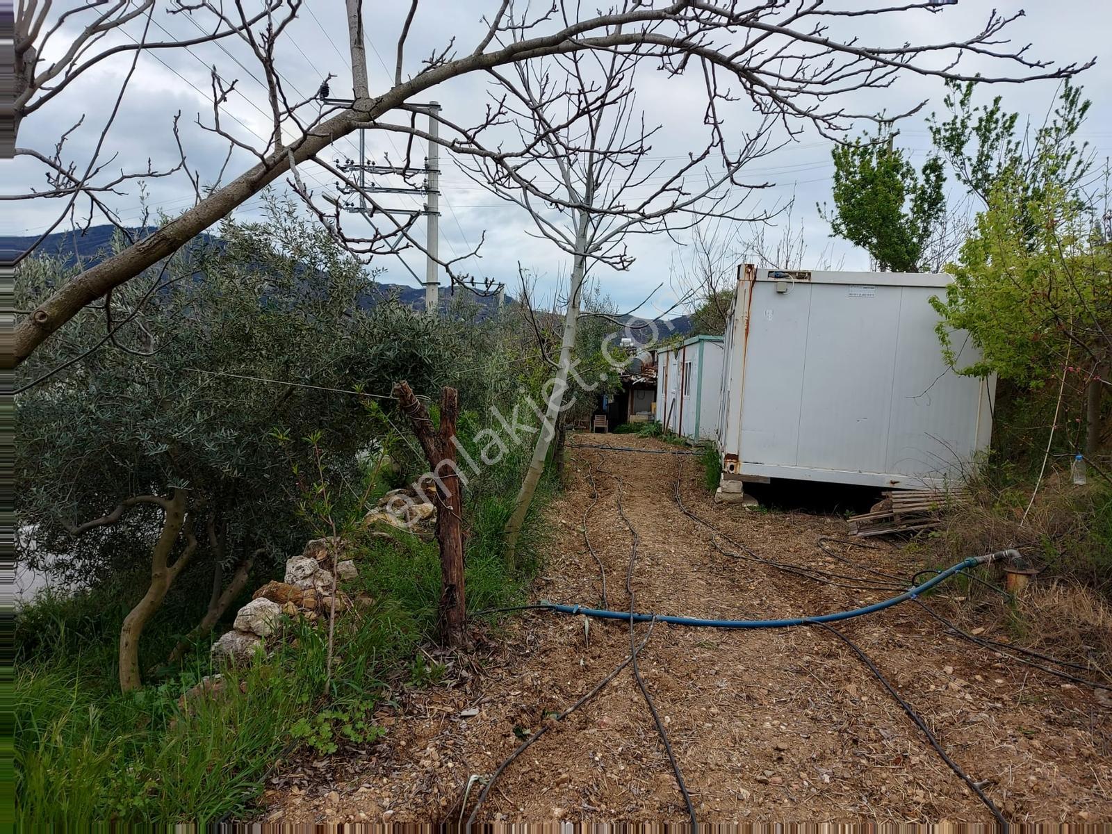 Seferihisar Orhanlı'da Yatırım Fırsatı Konut+ticari İmarlı - Görsel 14