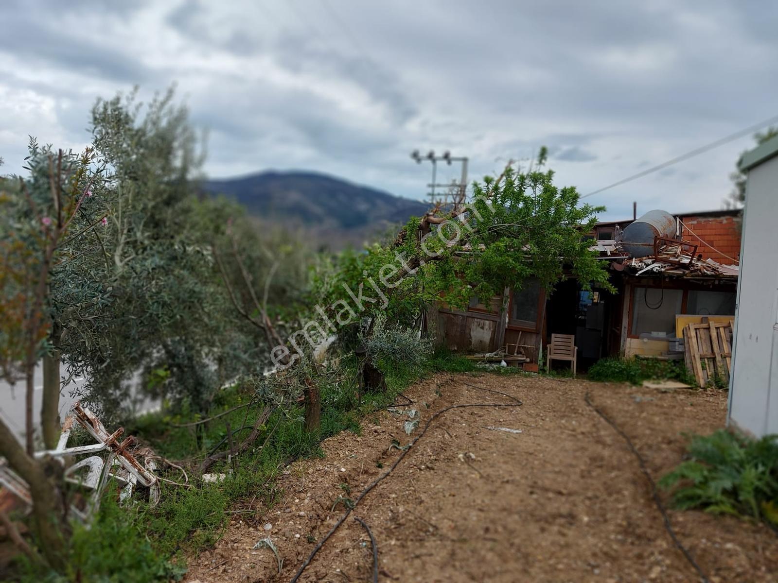 Seferihisar Orhanlı'da Yatırım Fırsatı Konut+ticari İmarlı - Görsel 27