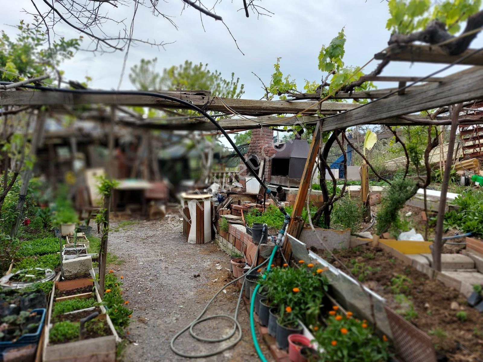 Seferihisar Orhanlı'da Yatırım Fırsatı Konut+ticari İmarlı - Görsel 18