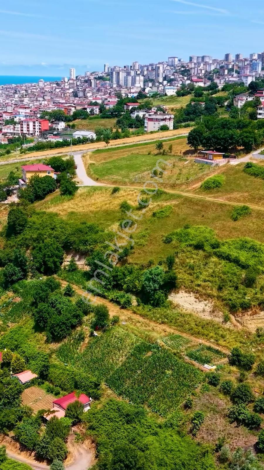 Şehir Hastanesi Yakını 4 Kata İmarlı Yatırımlık Fırsat!!! - Görsel 4