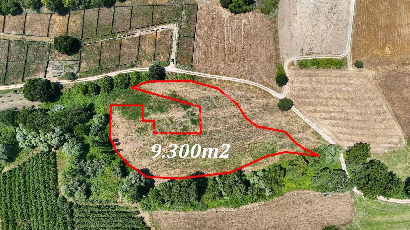 Mudayanya Hançerli Köyünde Yatırımlık 9300m² Tarla - Görsel 12
