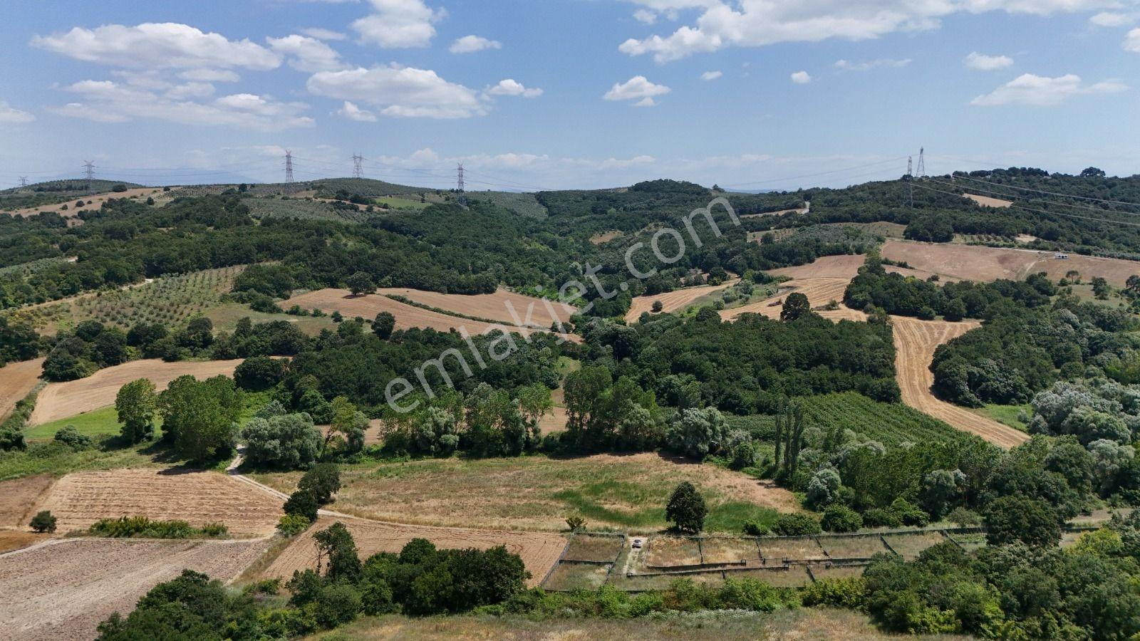 Mudayanya Hançerli Köyünde Yatırımlık 9300m² Tarla - Görsel 19