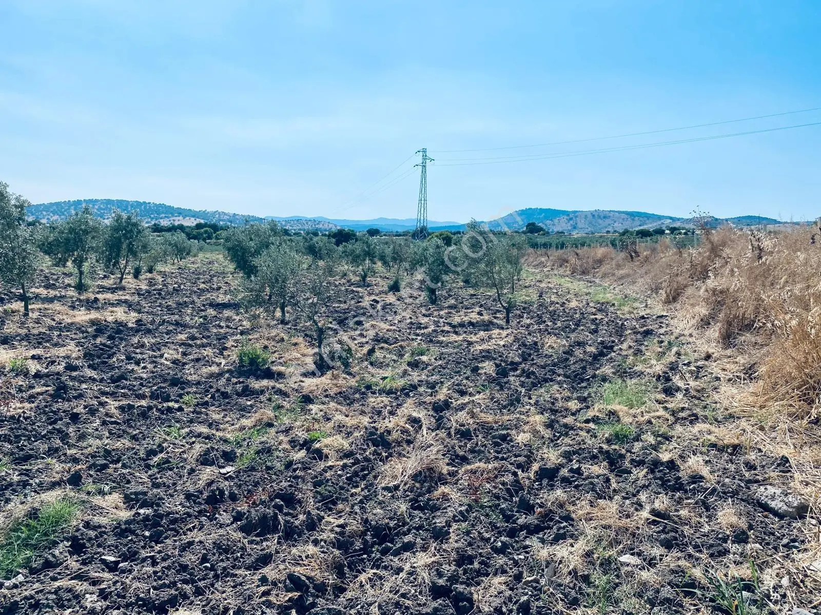 Uzun Emlak'tan Bağyolu -gülbahçe Arası 7,5 Dönüm Köşe Zeytinlik - Görsel 35