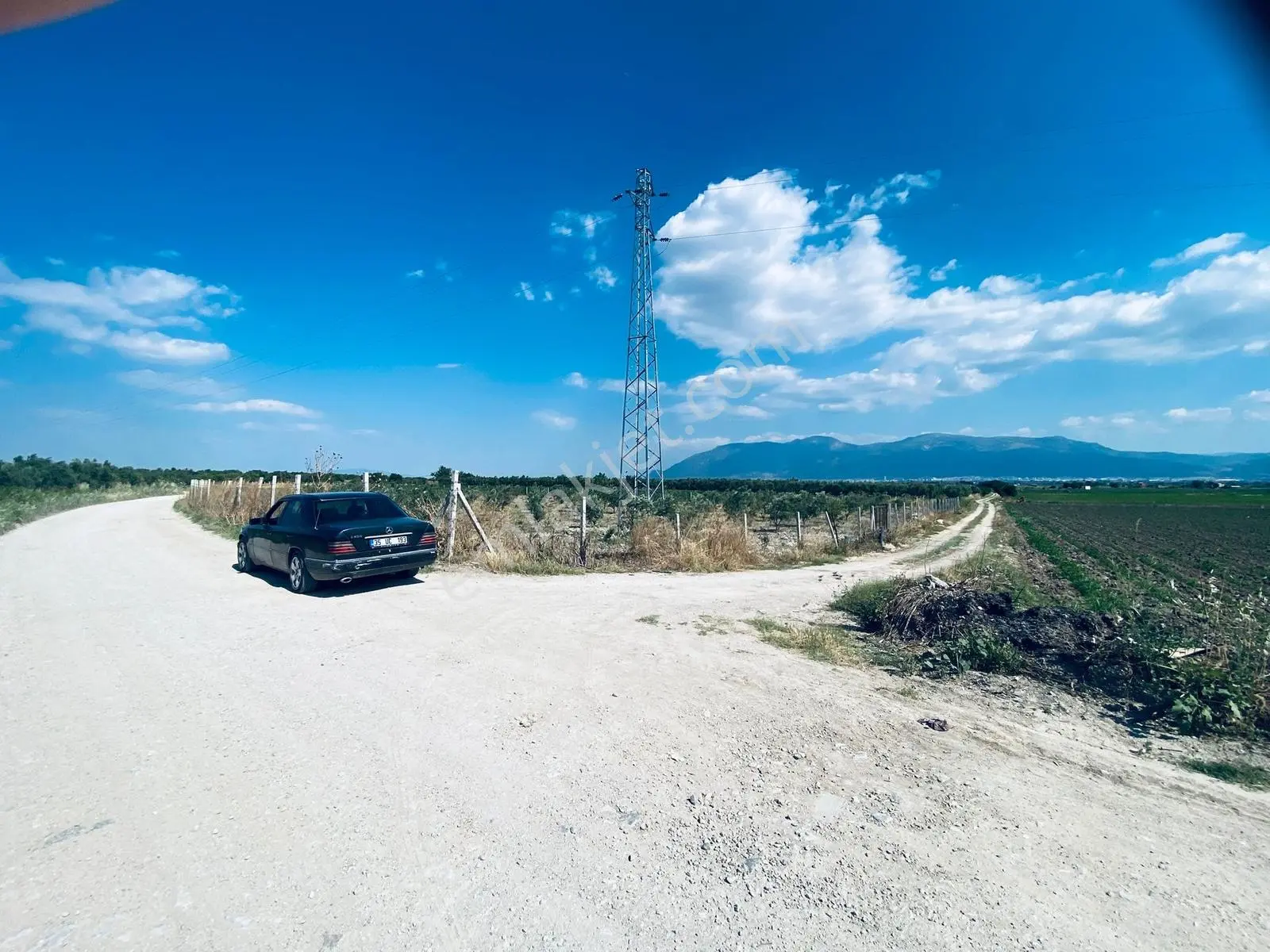 Uzun Emlak'tan Bağyolu -gülbahçe Arası 7,5 Dönüm Köşe Zeytinlik