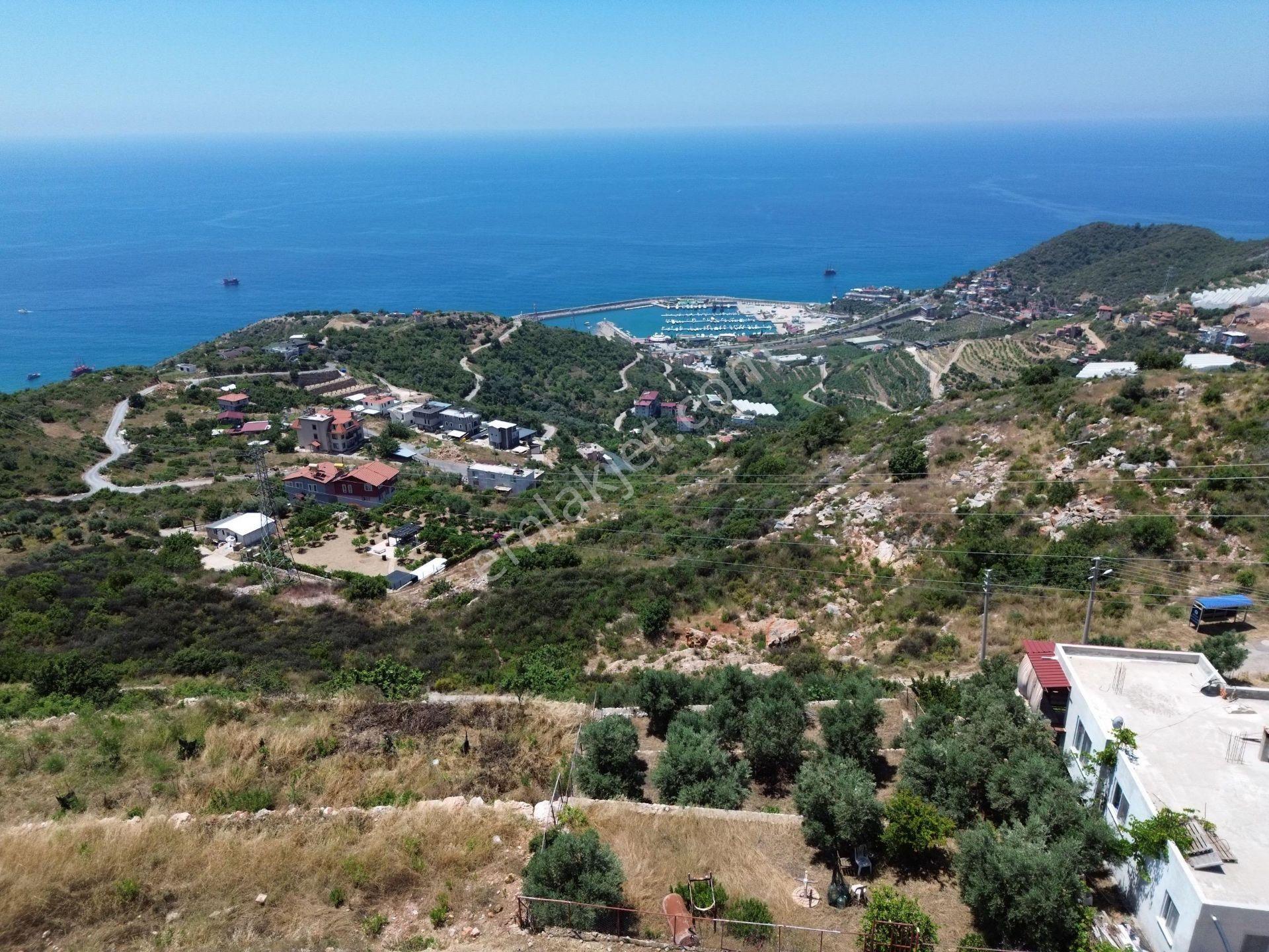 Alanya Hacımehmetli Mahallesinde Satılık 366 M2 Deniz Manzaralı Arsamız - Görsel 2