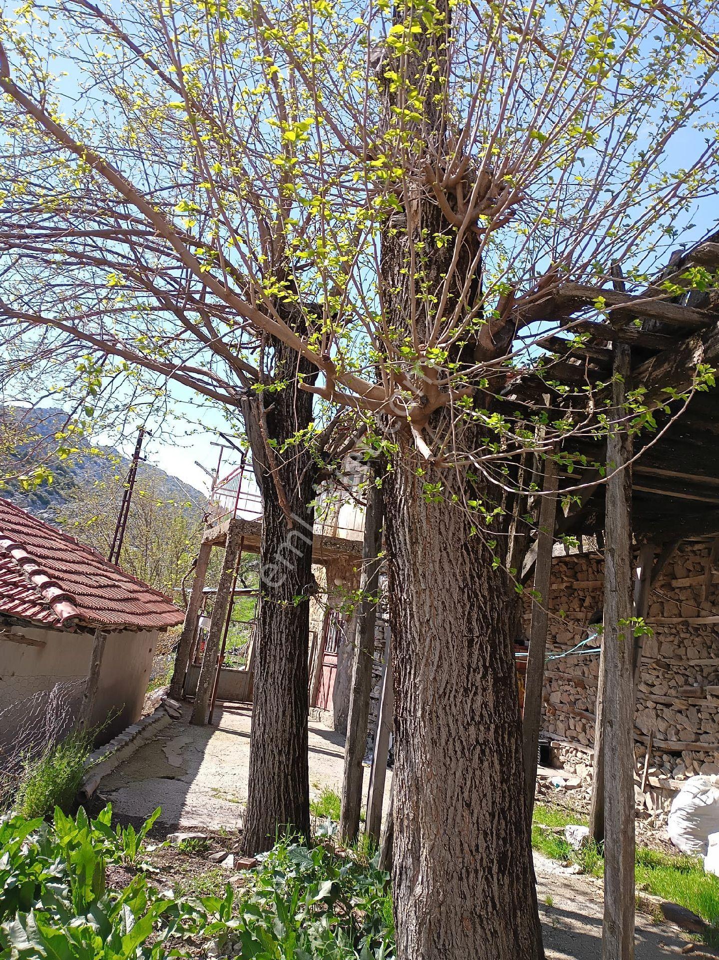 Huzurlu Bir Yaşam İçin Kadılar Diyarı İbradıyı Seçin