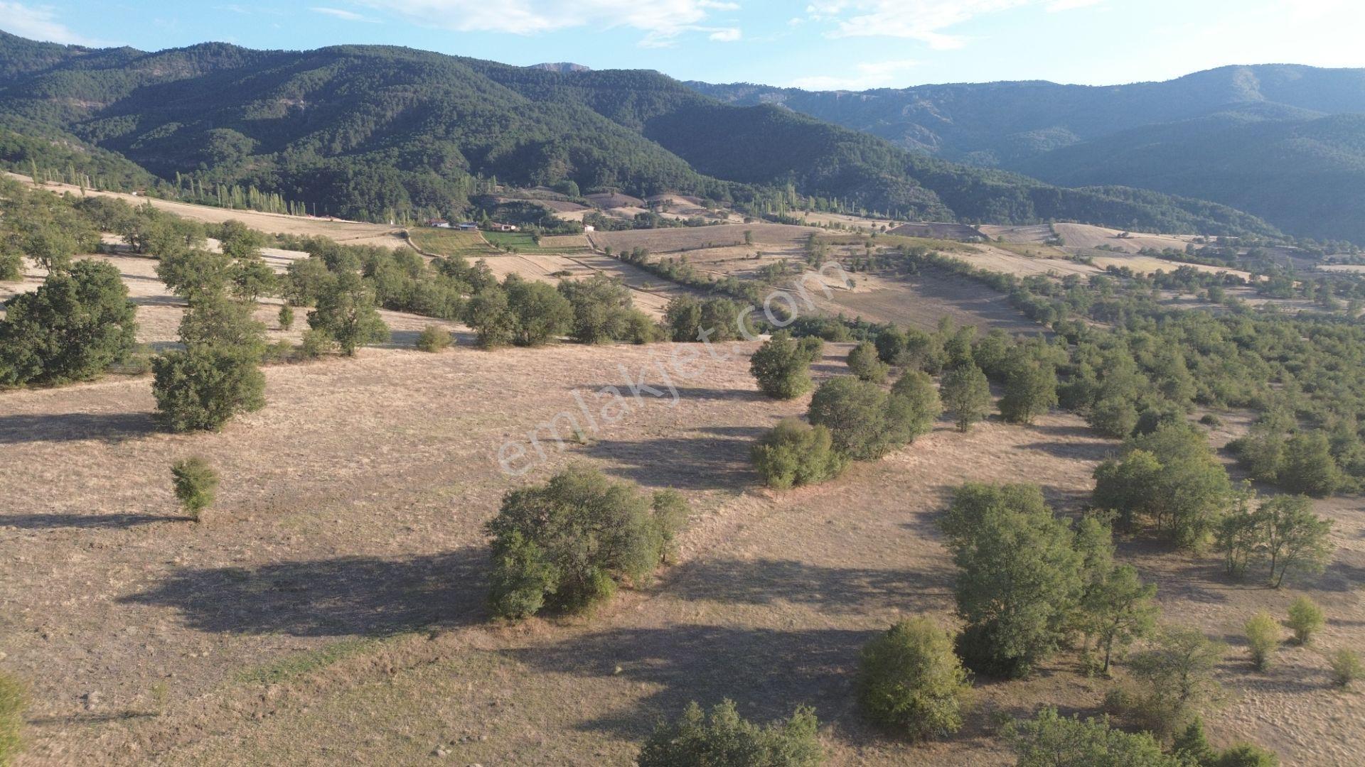Hamamözü Damladere Mahallesinde 645 M² Müstakil Tapulu Tarla - Görsel 8