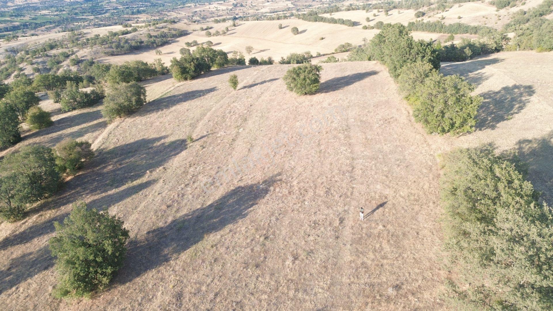 Hamamözü Damladere Mahallesinde 645 M² Müstakil Tapulu Tarla - Görsel 13