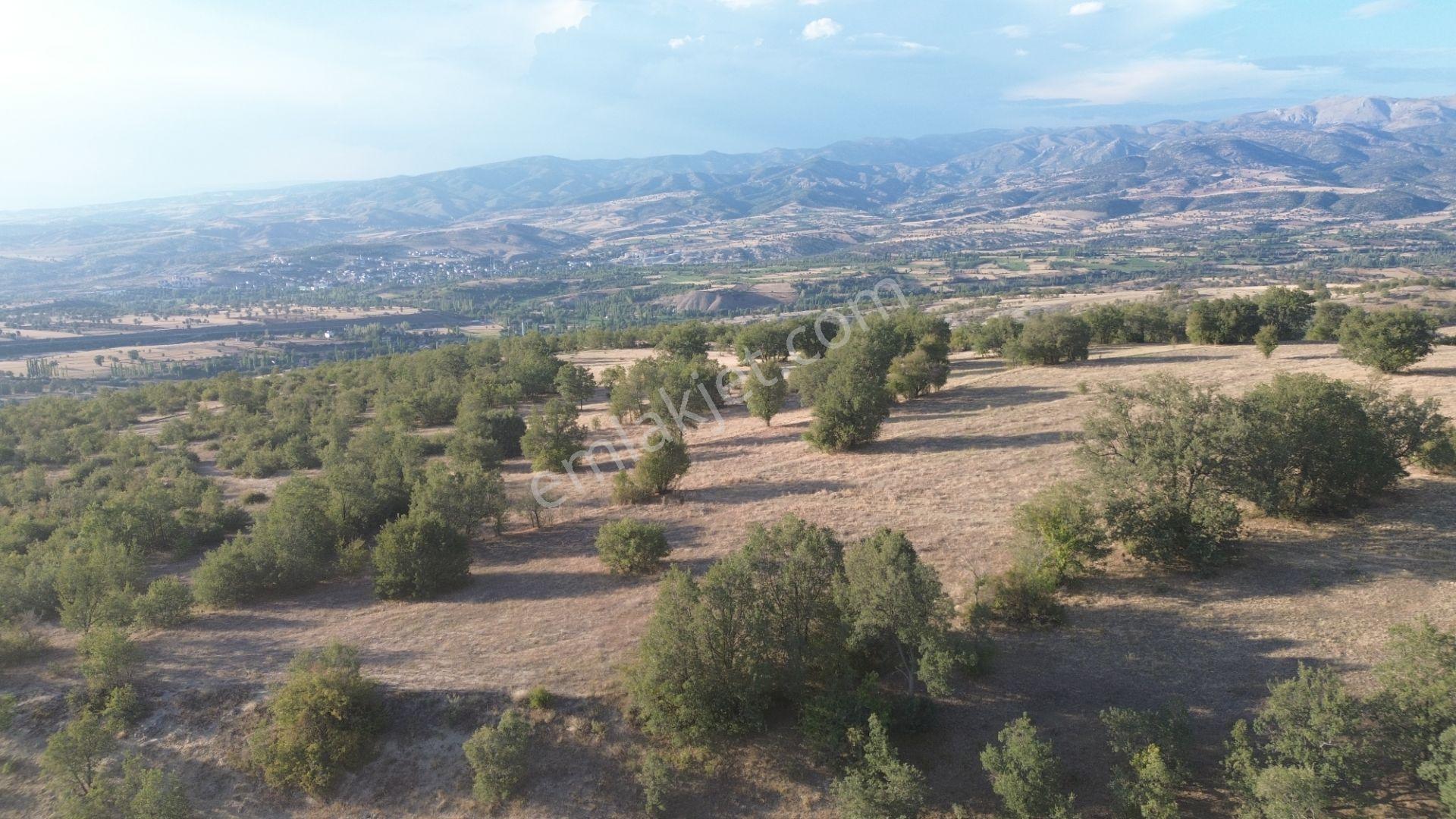 Hamamözü Damladere Mahallesinde 645 M² Müstakil Tapulu Tarla - Görsel 3